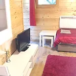 Quirky Park - Swimming Pool, Hot Tub, Cold Plunge, Sauna And Exclusive Party Room! Holiday home Siofok