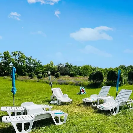 Quirky Park - Pool, Hot Tub, Cold Plunge, Sauna And Exclusive Party