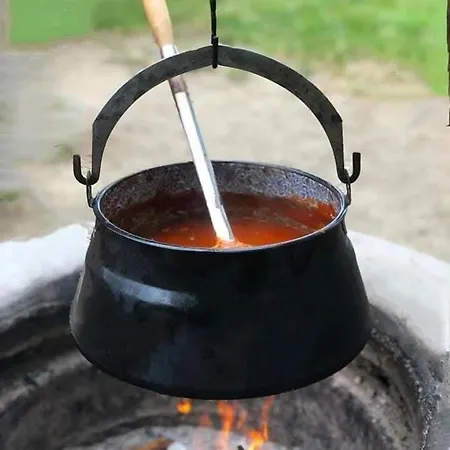 Quirky Park - Pool, Hot Tub, Cold Plunge, Sauna And Exclusive Party Casa vacanze Siófok