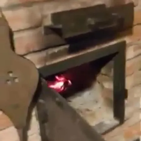 Quirky Park - Pool, Hot Tub, Cold Plunge, Sauna And Exclusive Party Casa vacanze