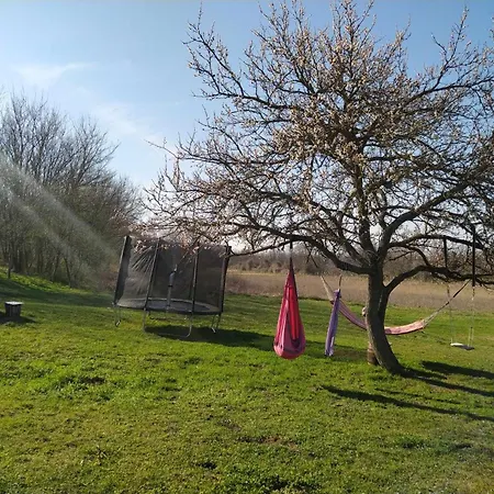 Quirky Park - Pool, Hot Tub, Cold Plunge, Sauna And Exclusive Party Vakantiehuis