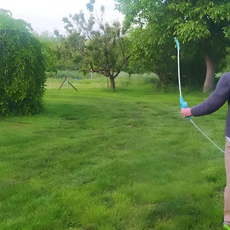 Дом отдыха Quirky Park - Pool, Hot Tub, Cold Plunge, Sauna And Exclusive Party