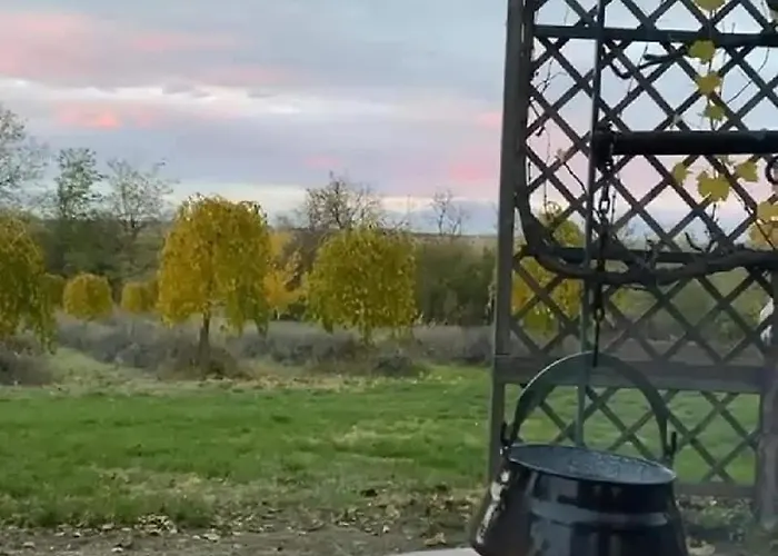 Semesterbostad Quirky Park - Pool, Hot Tub, Cold Plunge, Sauna And Exclusive Party Siófok