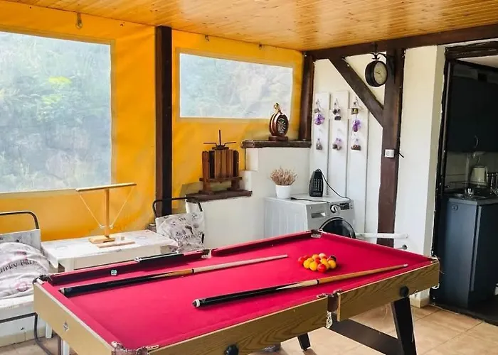 Semesterbostad Quirky Park - Pool, Hot Tub, Cold Plunge, Sauna And Exclusive Party Siófok