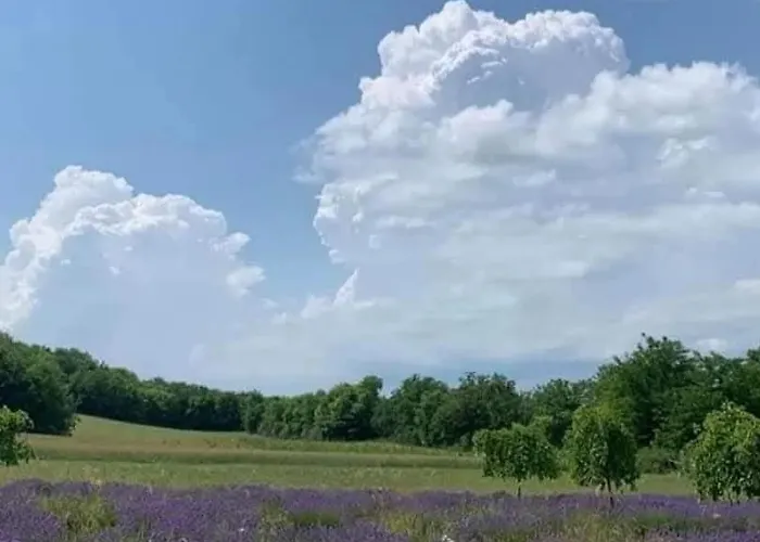 Quirky Park - Pool, Hot Tub, Cold Plunge, Sauna And Exclusive Party Siófok