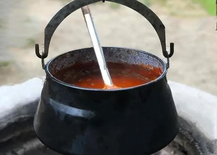 Quirky Park - Pool, Hot Tub, Cold Plunge, Sauna And Exclusive Party Semesterbostad Siófok