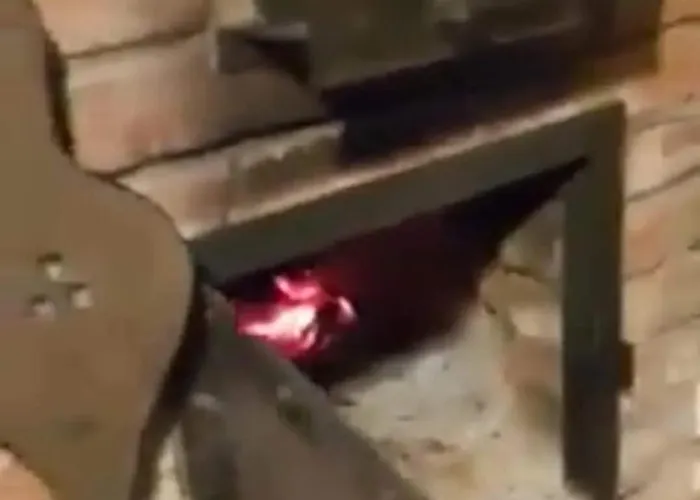 Quirky Park - Pool, Hot Tub, Cold Plunge, Sauna And Exclusive Party Semesterbostad