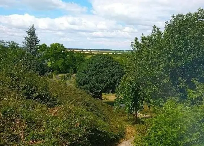 Semesterbostad Quirky Park - Pool, Hot Tub, Cold Plunge, Sauna And Exclusive Party *