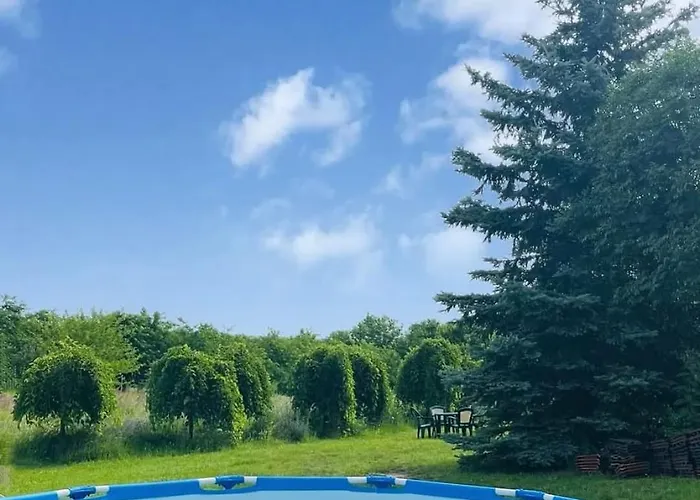 Semesterbostad Quirky Park - Pool, Hot Tub, Cold Plunge, Sauna And Exclusive Party Siófok