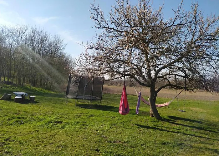 Quirky Park - Pool, Hot Tub, Cold Plunge, Sauna And Exclusive Party Semesterbostad